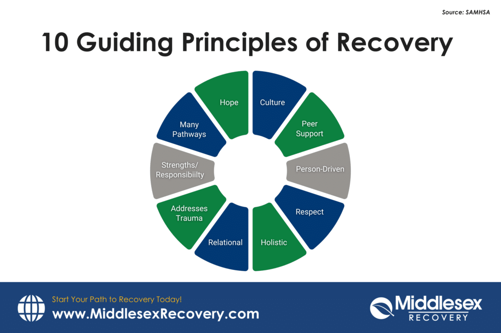 An infographic on the 10 Principles of Recovery that includes a circular diagram with ten segments listed such as Hope, Culture, Peer Support, Person-Driven, Respect, Holistic, Relational, Addresses Trauma, Strengths/Responsibility, and Many Pathways. These principles are essential in supporting the Four Dimensions of Recovery.